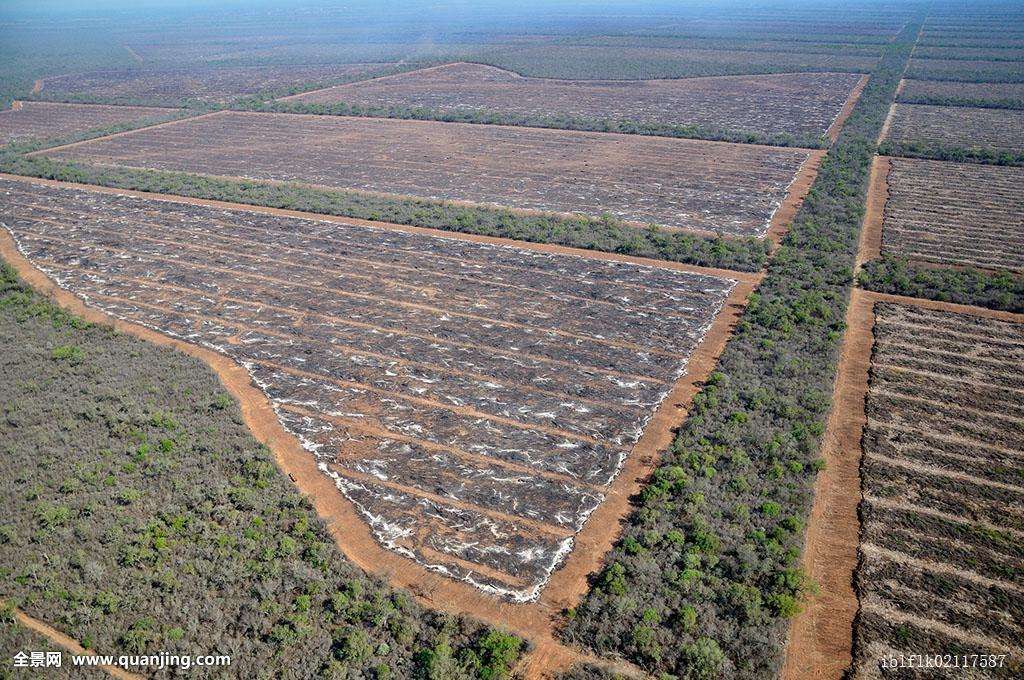 国家地球系统科学数据中心 -- 黑土与湿地分中心数据详细信息